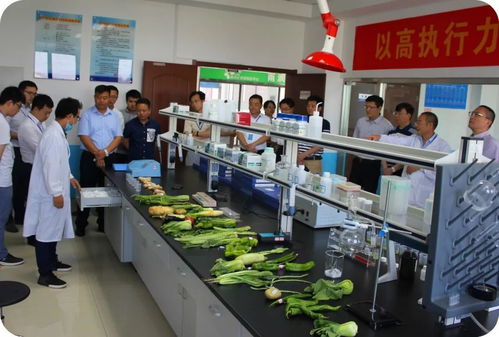 省食品安全快速检测信息采集座谈会在徐州雨润公司圆满举行