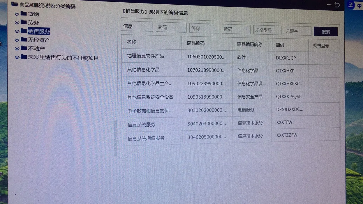 个体工商户开票选择指南 信息系统服务 vs 信息技术咨询服务